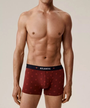 Bokserki 2GMH-029 w Serca