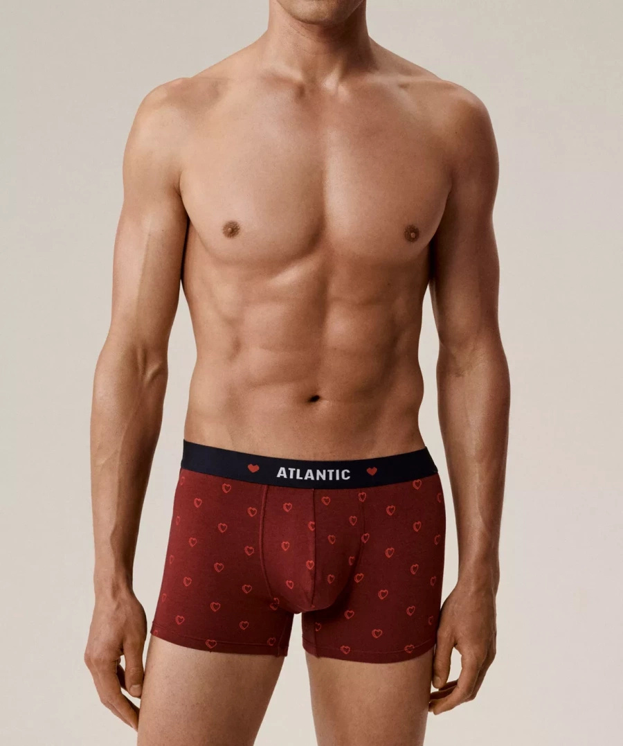 Bokserki 2GMH-029 w Serca