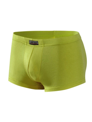 Pistacjowe seksowne mini bokserki męskie 93% mikromodal BM06 Sesto Senso – odważny styl