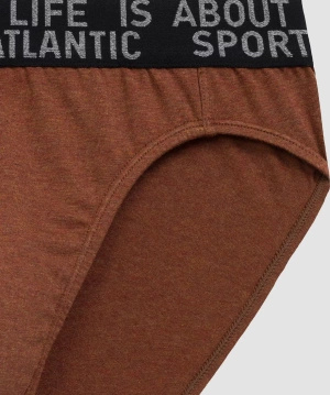 Slipy Męskie 3mp-209 Brązowe/Szare