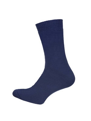 Skarpety Thermo Silver Jednokolorowe