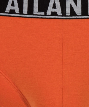 Klasyczne slipy męskie 95% bawełna Atlantic – wygoda i styl na co dzień.