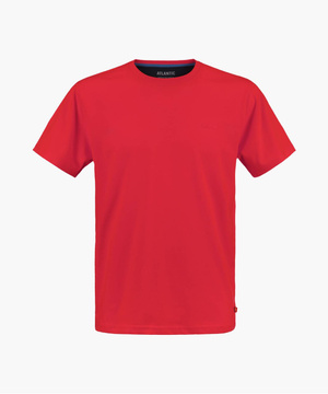 Koszulka męska t-shirt