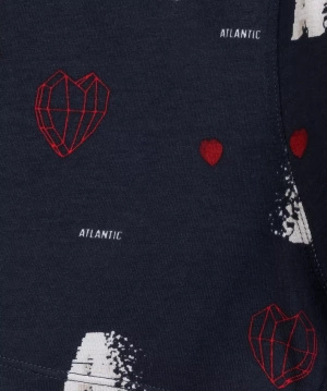 Bokserki 2GMH-029 w Serca