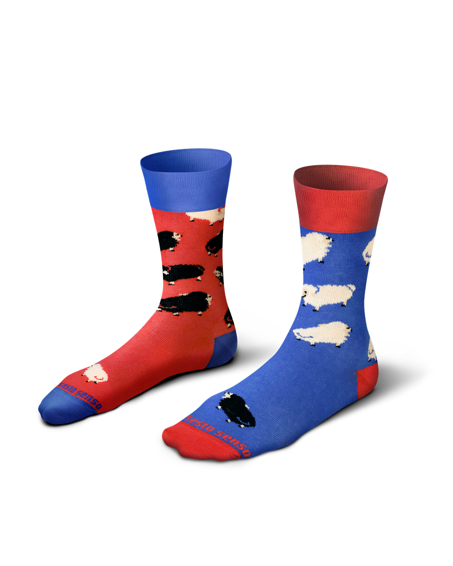 Długie Skarpetki Kolorowe Bawełniane Unisex 90% Bawełna z Zabawnym Wzorem Sesto Senso