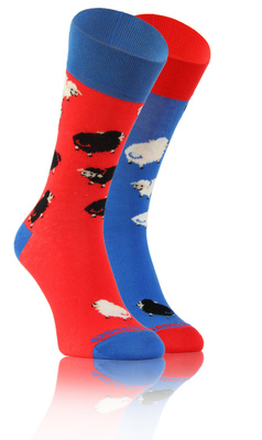 Długie Skarpetki Kolorowe Bawełniane Unisex 90% Bawełna z Zabawnym Wzorem Sesto Senso