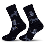 Skarpetki męskie Koty 0125.034